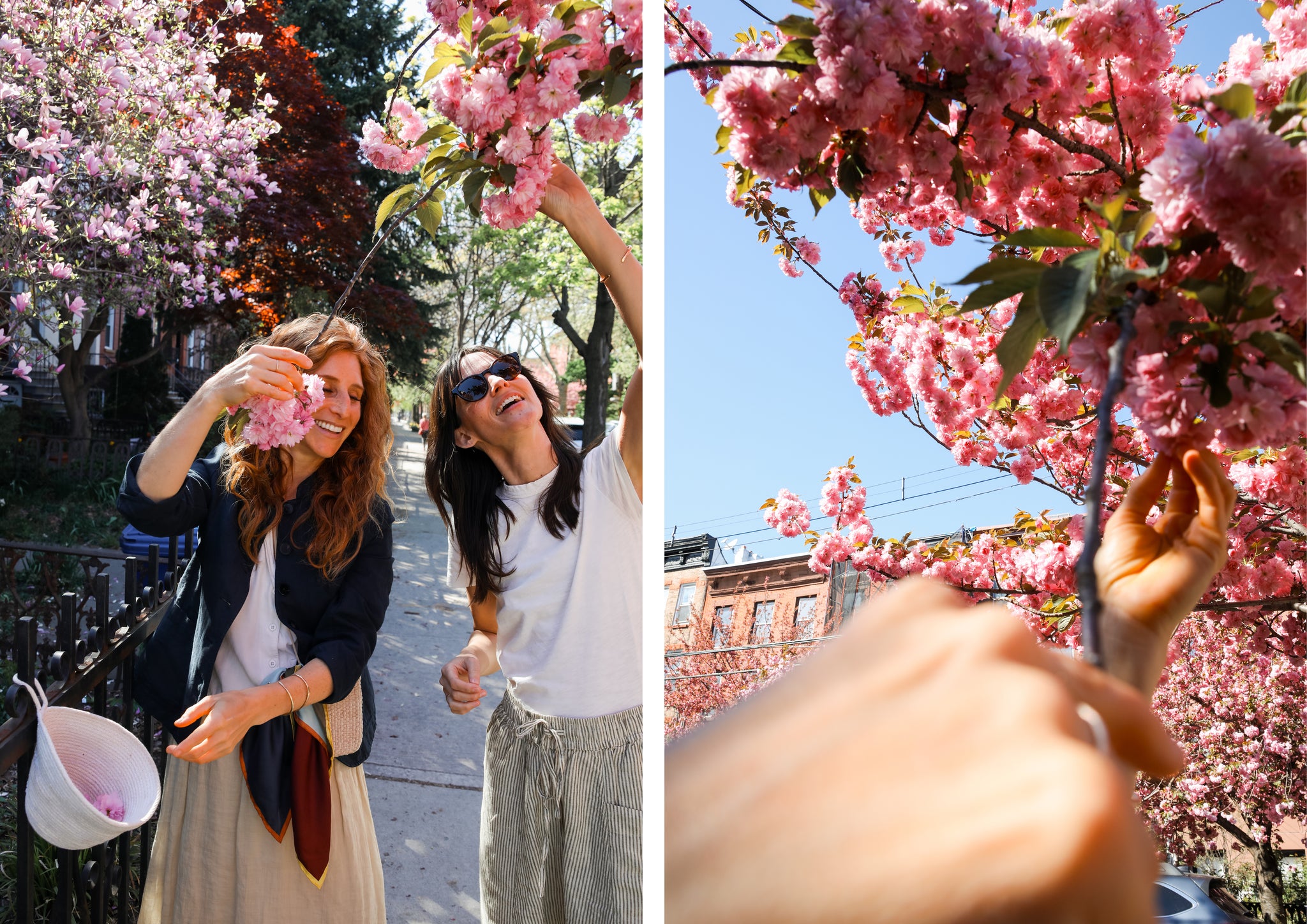 Two women picking flowers and flowers