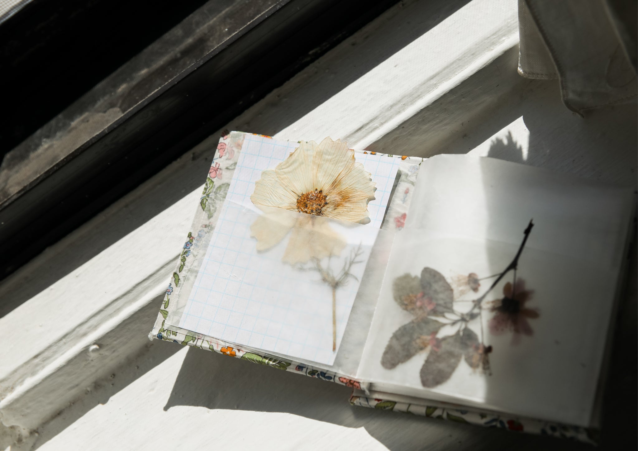 Accordian Memento book