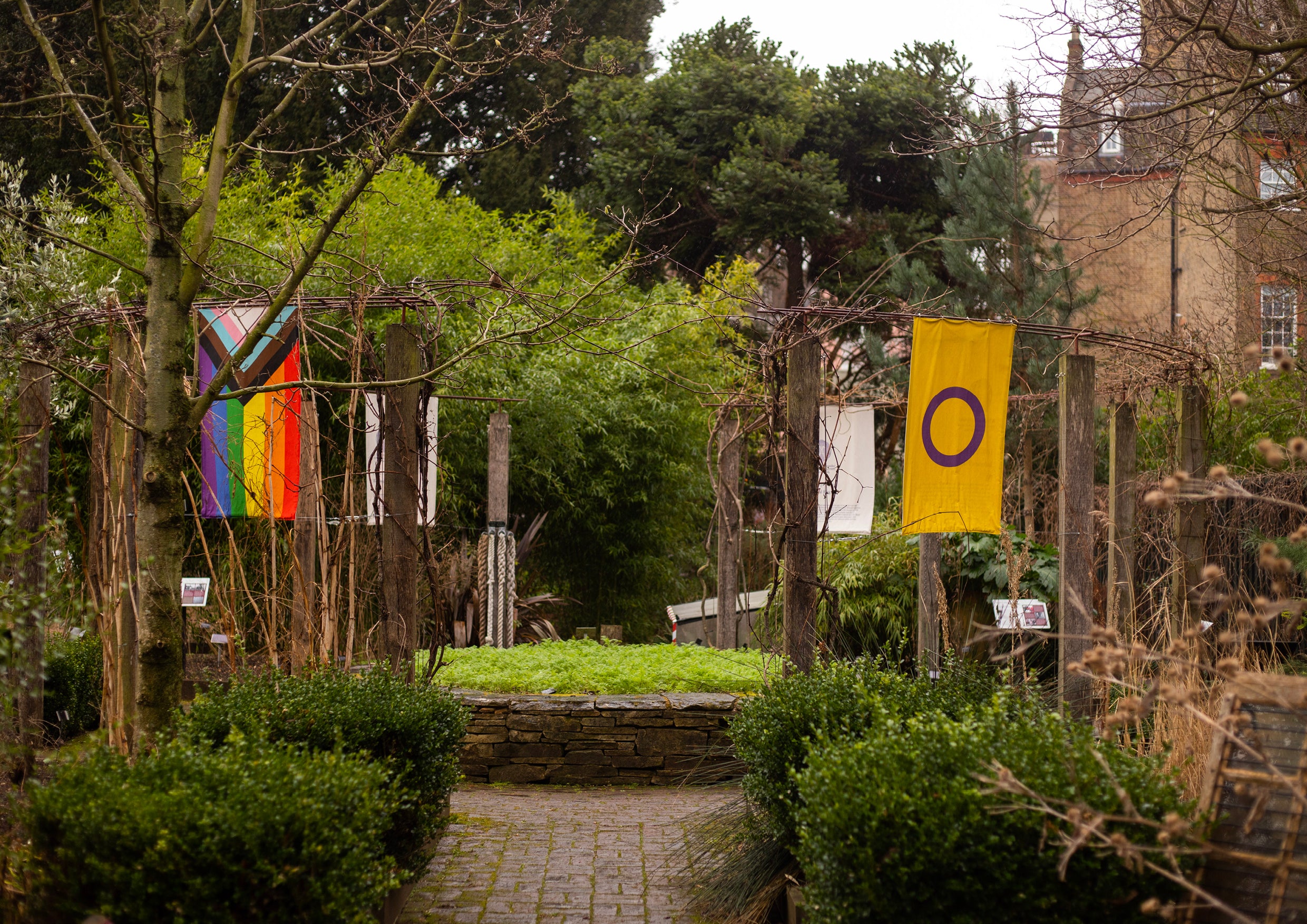 A garden with the pride flag hanging up