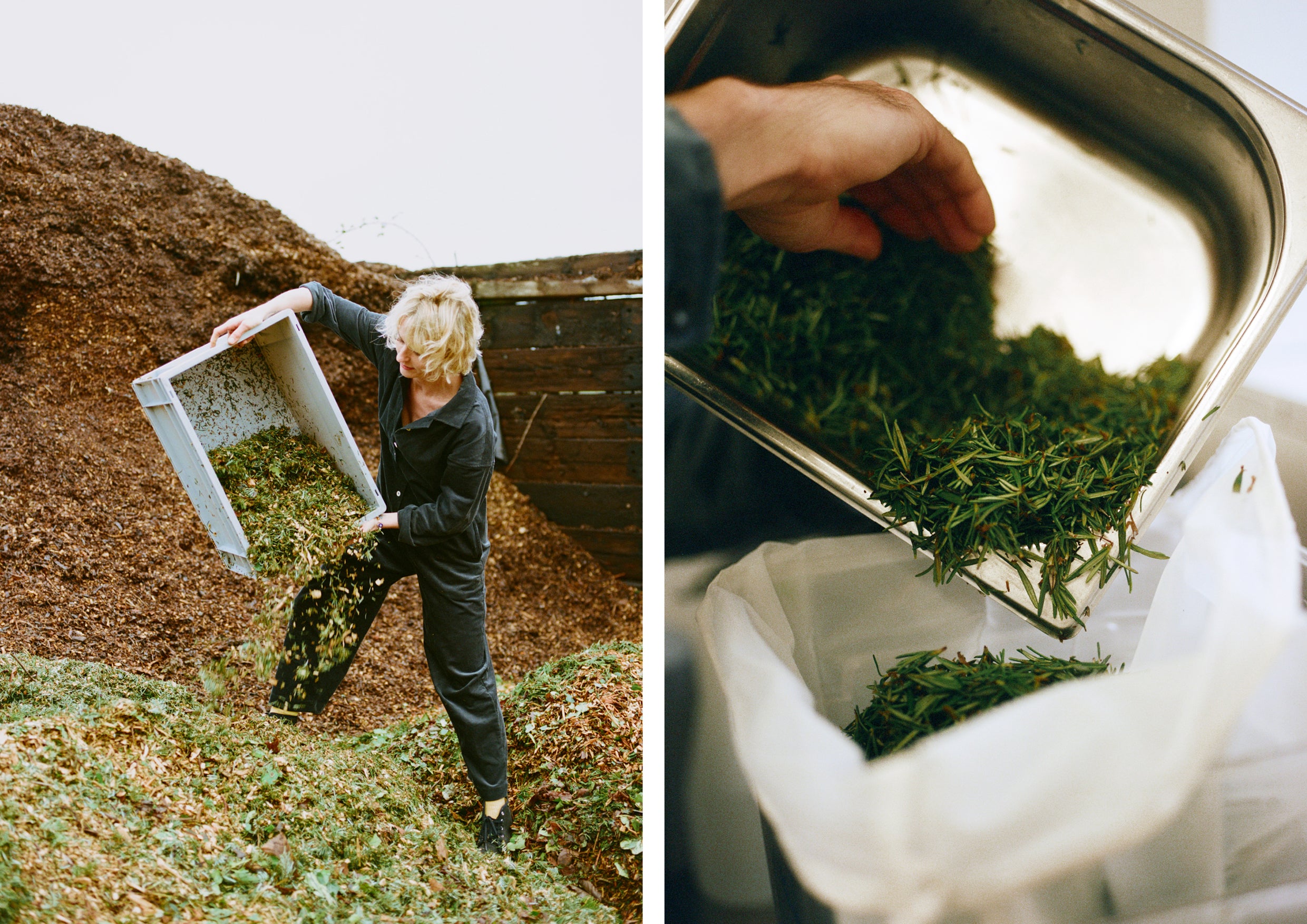 A person sifting herbs