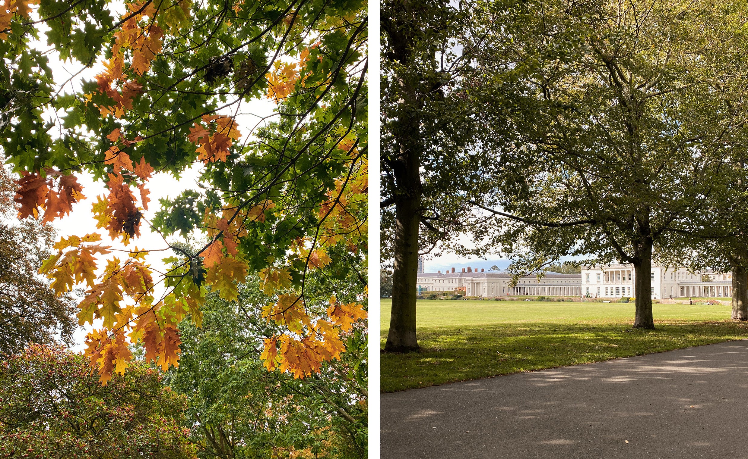 Autumnal park