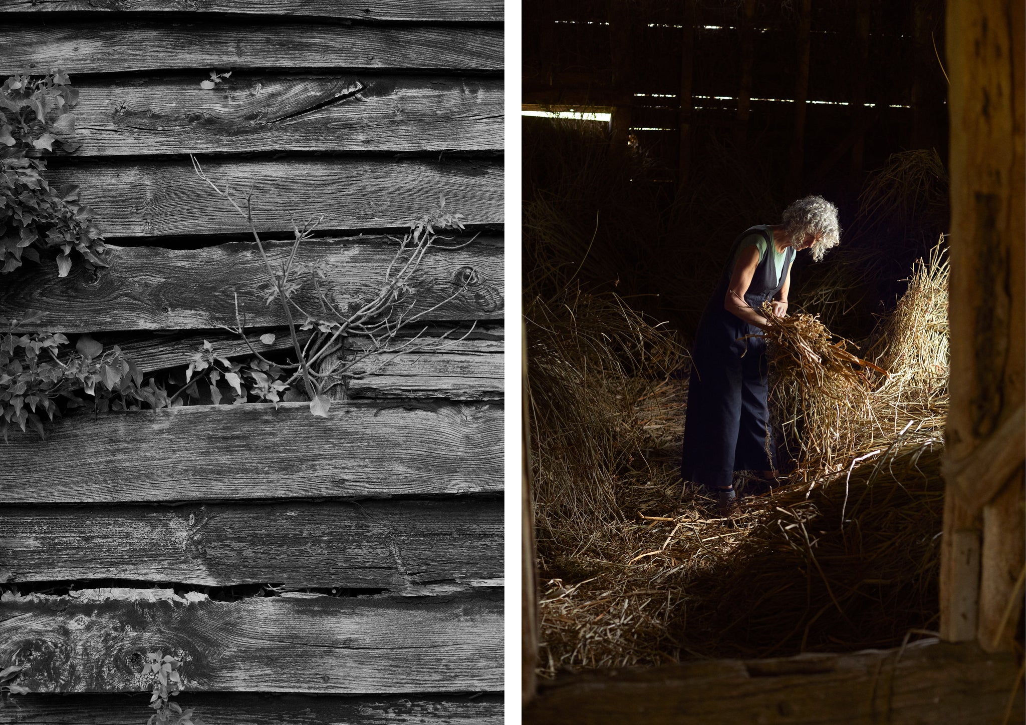 Barn and woman in barn with rush