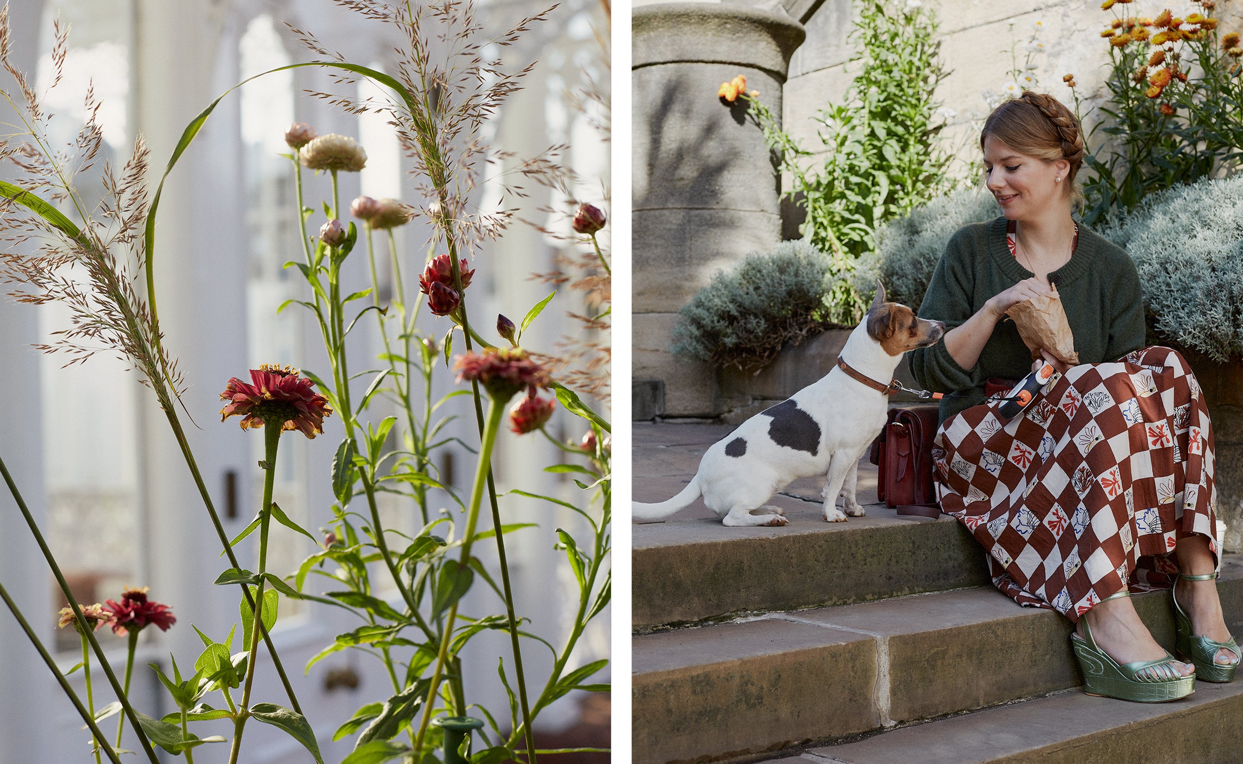 Flowers, and woman with dog