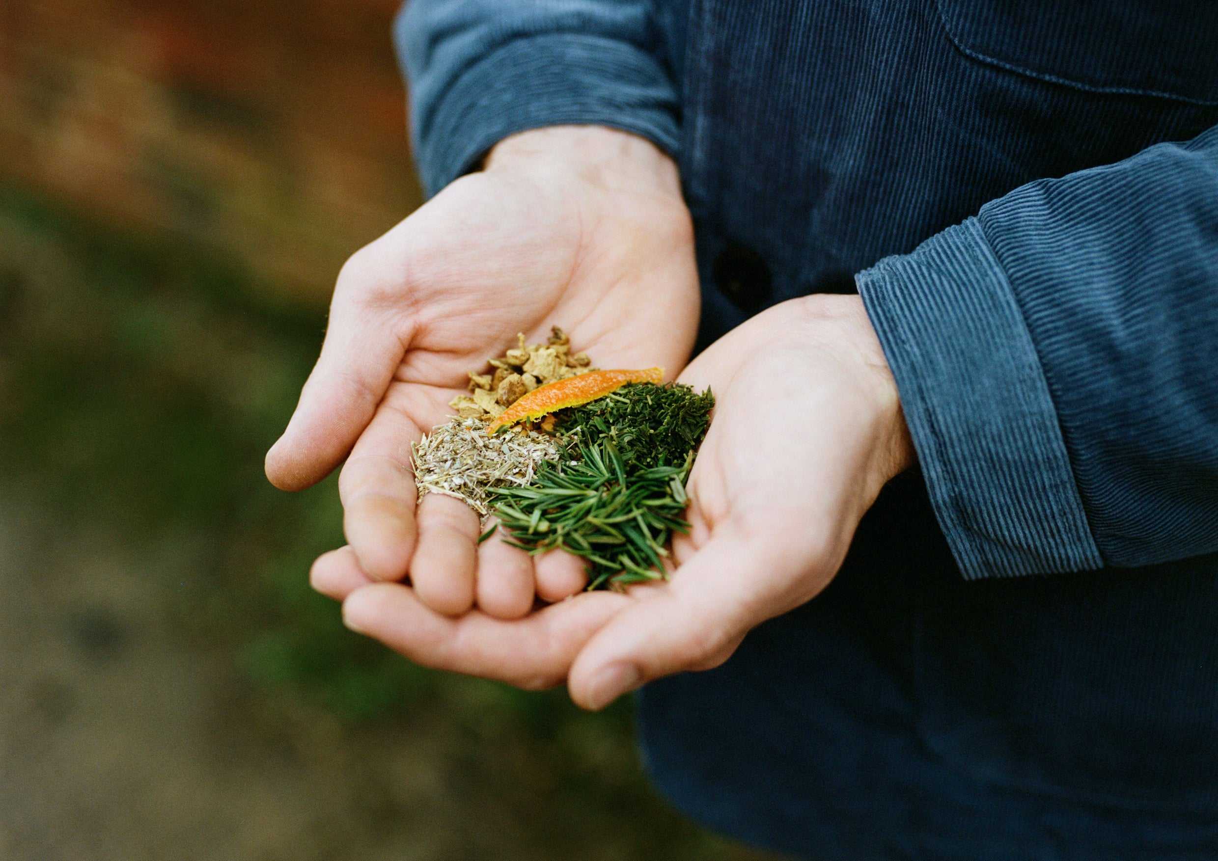 Hands holding mixed herbs.