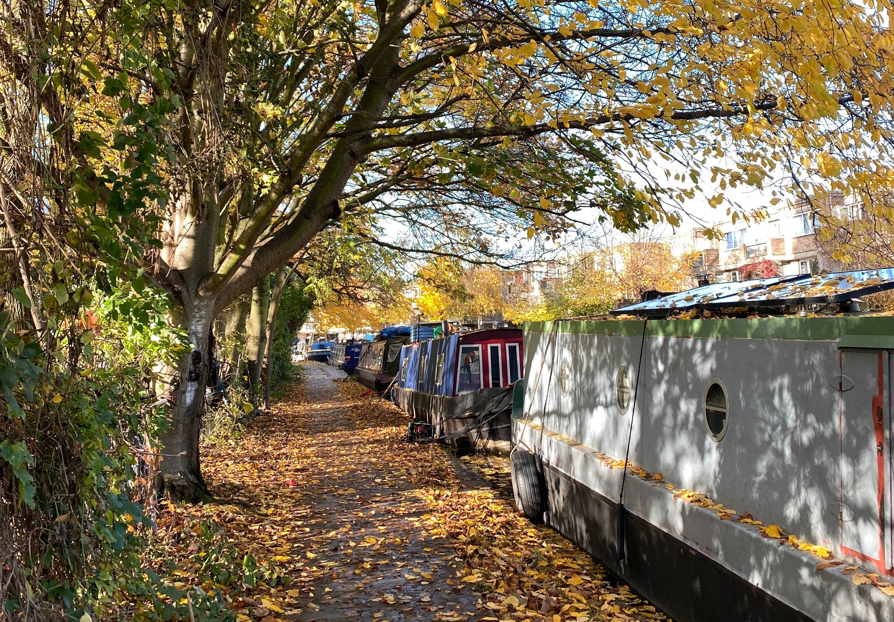 An autumnal canal scene