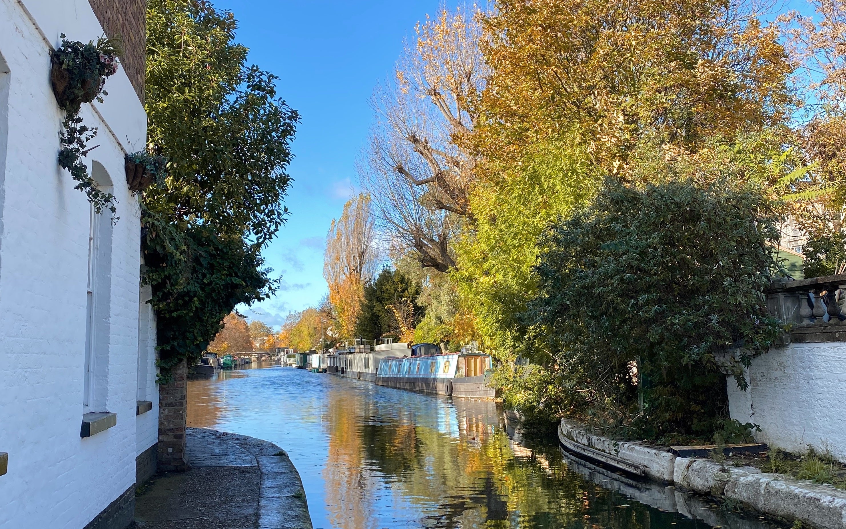 An autumnal London canal