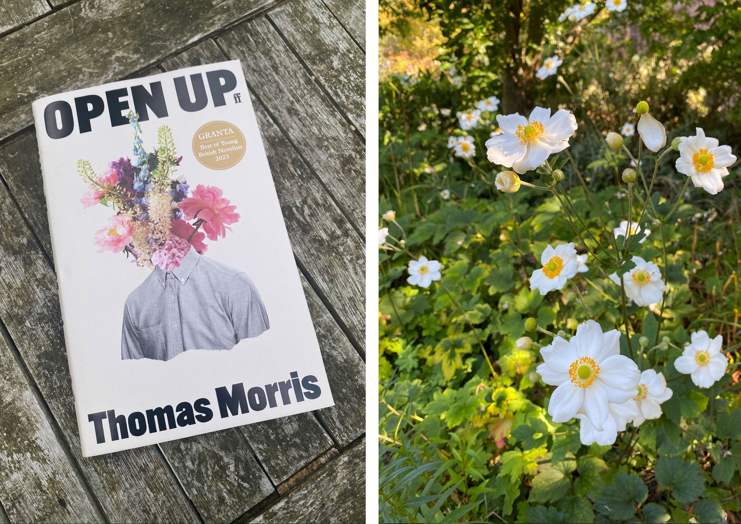 Open Up Thomas Morris book and anemone flowers