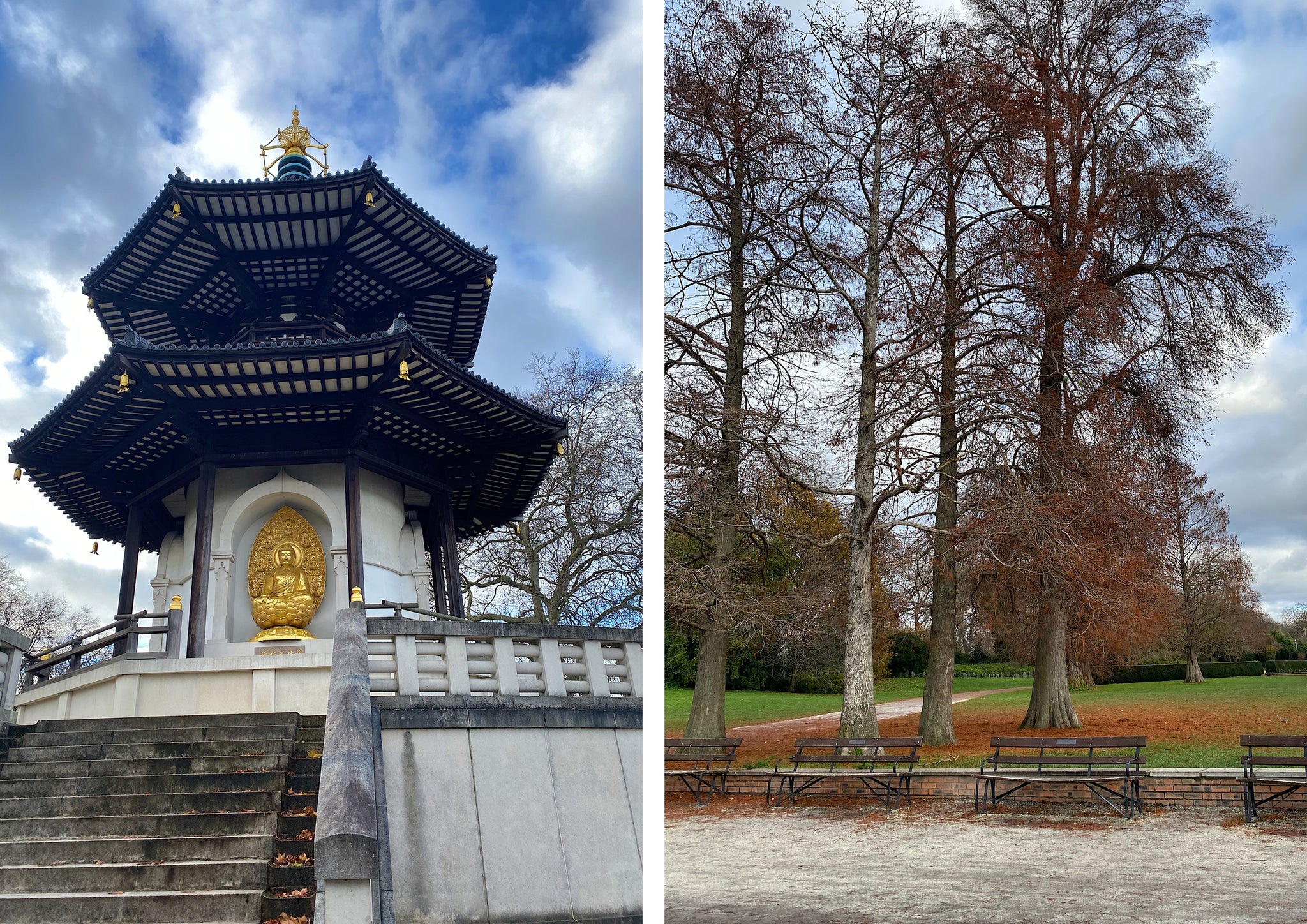 A pagoda and some trees in a park