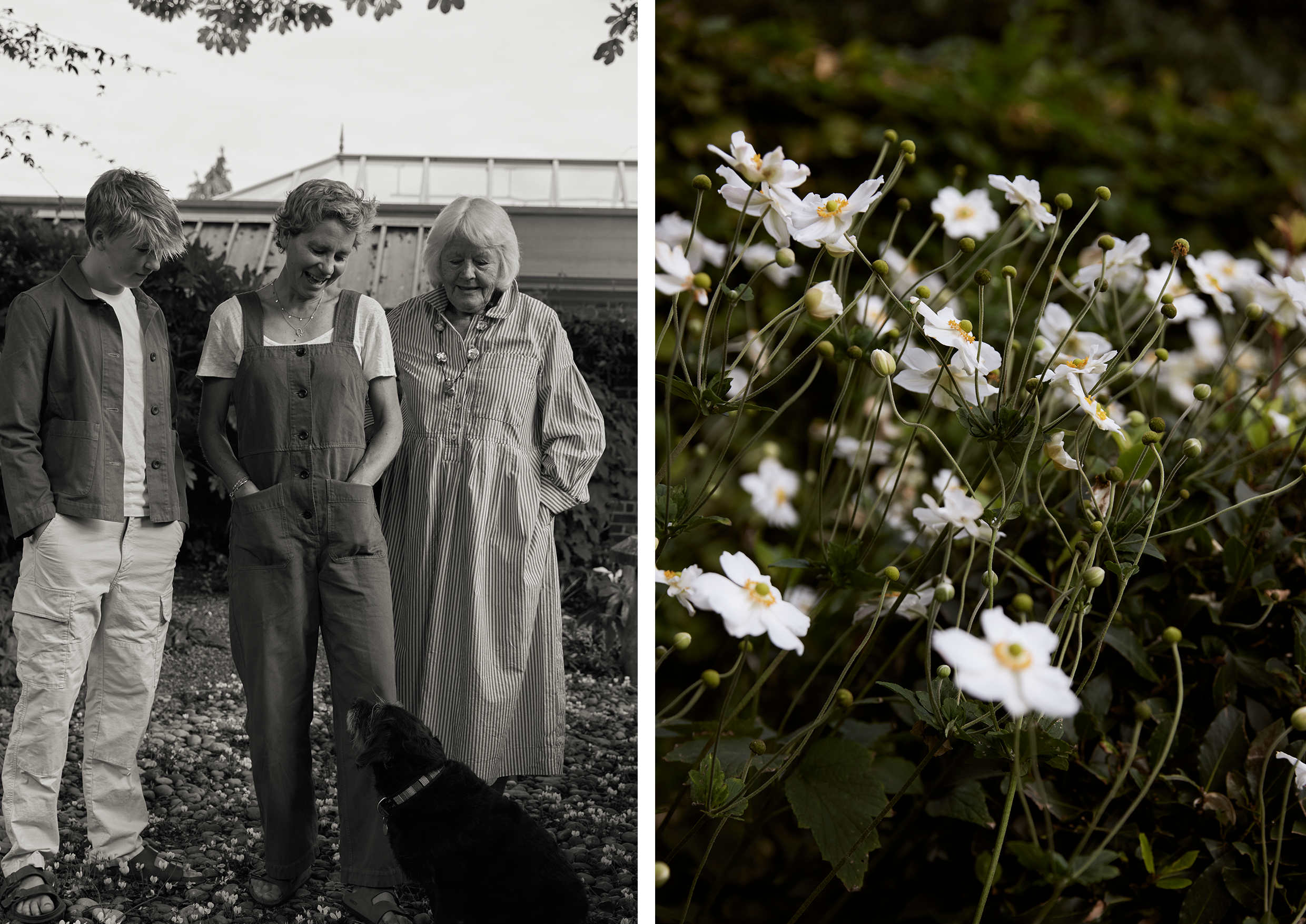 Three women and a dog in the garden