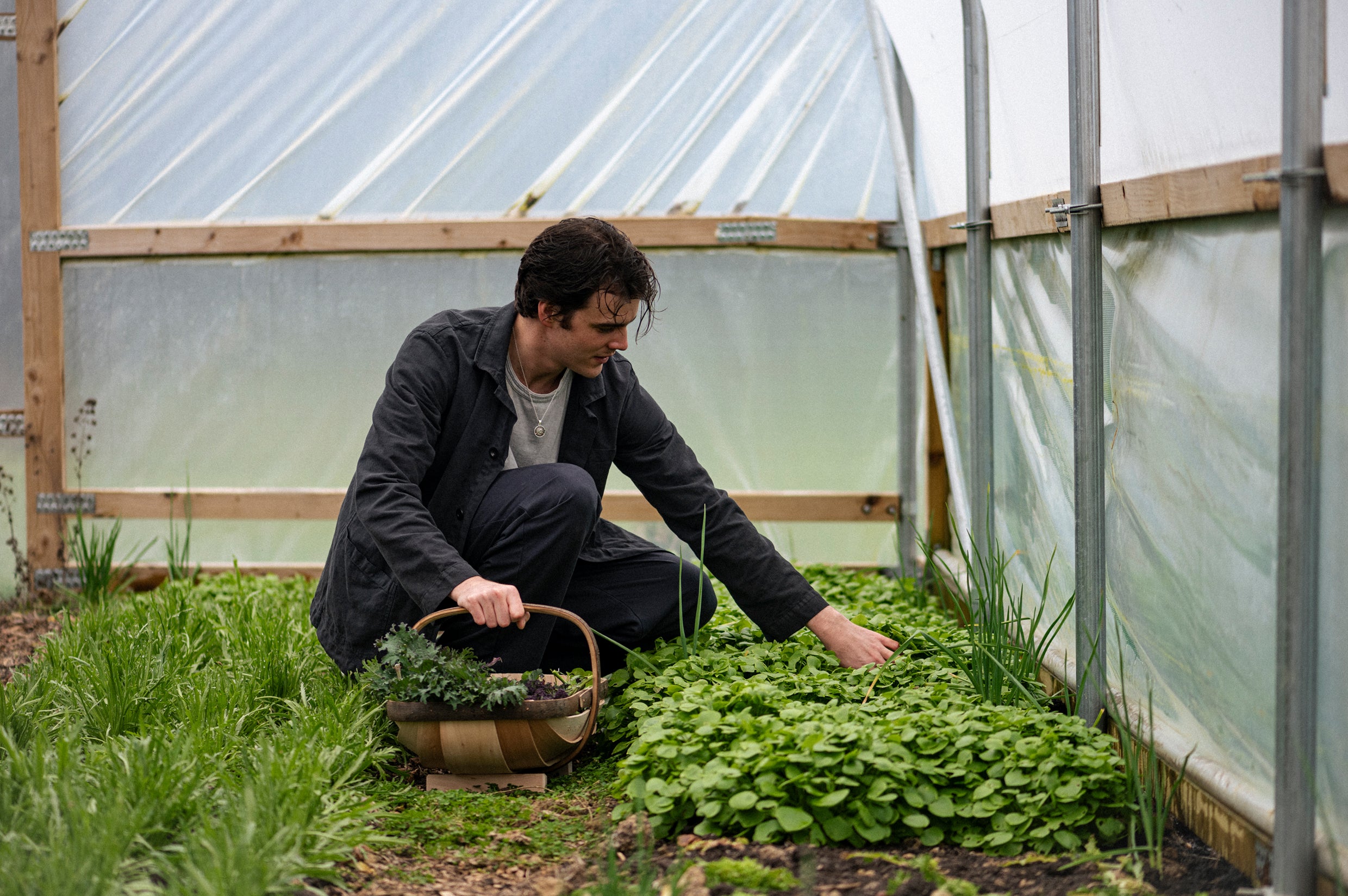 Ned Burrell gardening