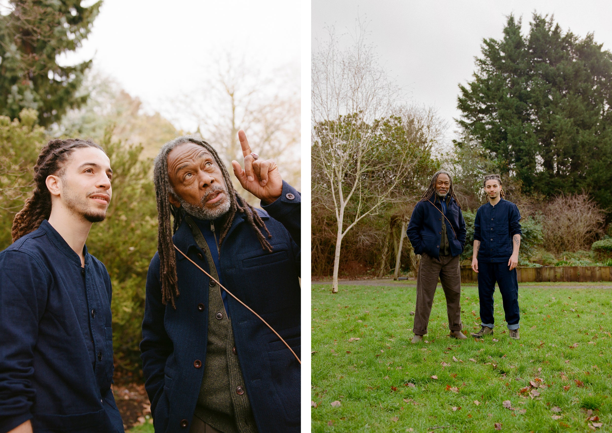 Two men looking up at a tree; stood in a park