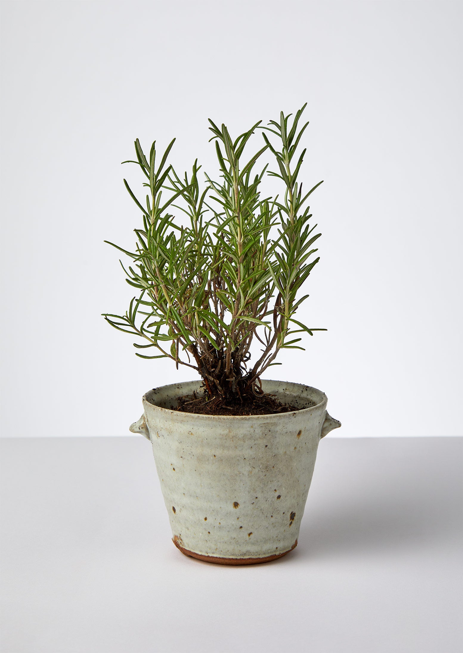 Tim Lake Small Lugged Pot | Dolomite White