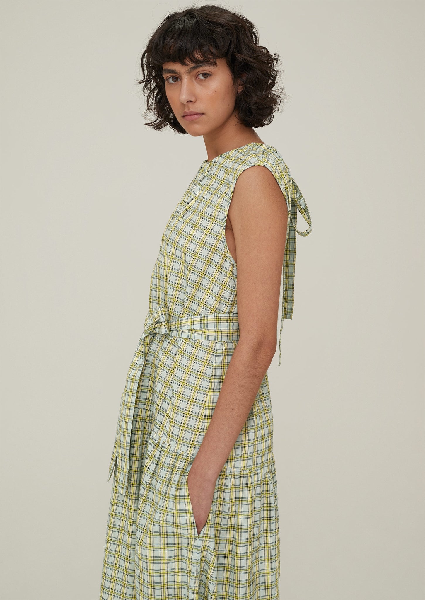 meltthelady fleeting check dress | itadicas.com.br