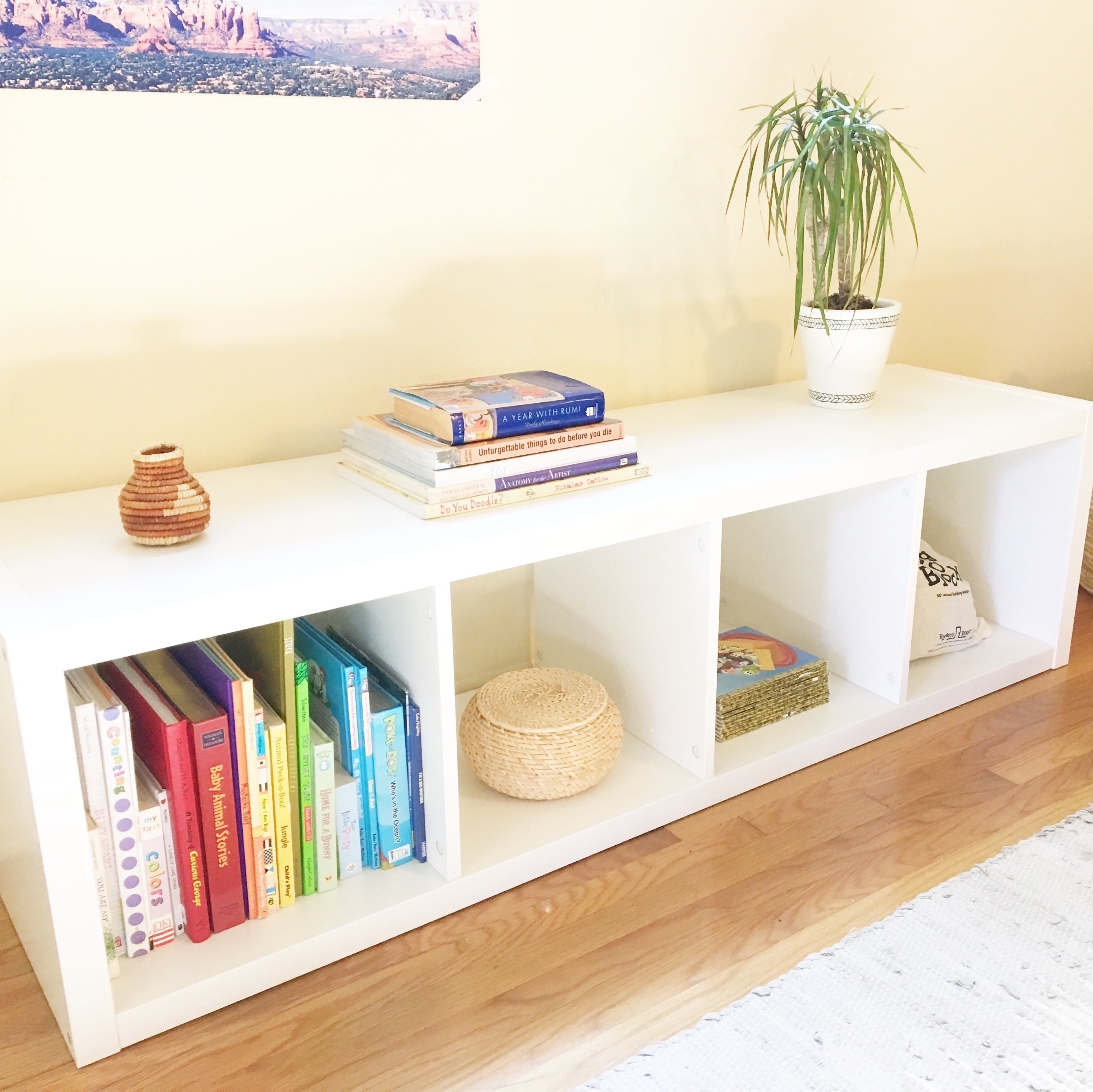 Kat Pettey, organizing santa barbara, neat method, bookshelf, kallax