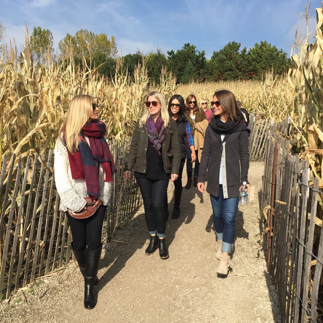 home organizers, neat, neat method, bengtson's pumpkin farm, catherine zinn, marissa hagmeyer, katie oswald