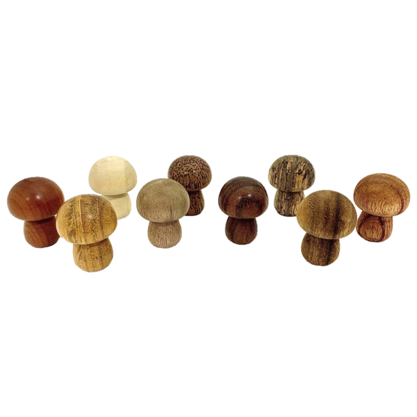 Papoose Toys Mini WW Mushrooms/9pc