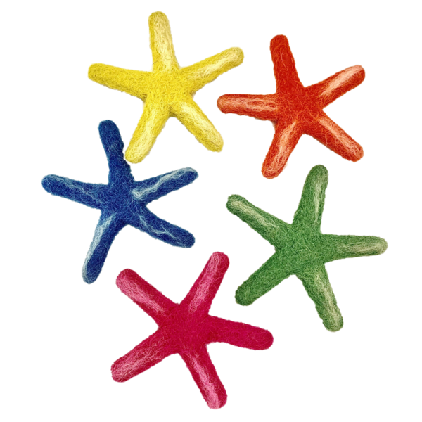 Papoose Toys Sea Star Laevigata/5pc