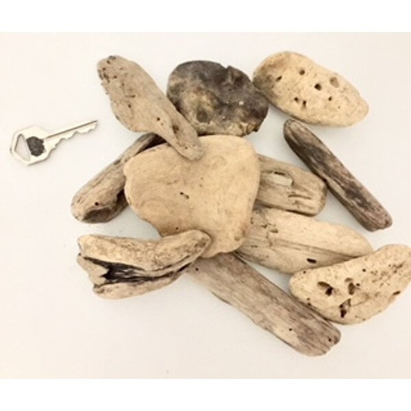 Papoose Toys Small Driftwood/10pc