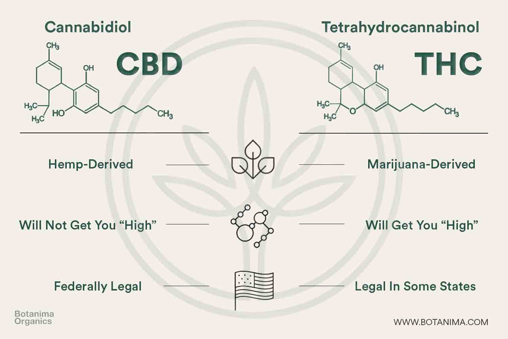 Difference-Between-CBD-and-THC-Infographic-Legal-Derived-High