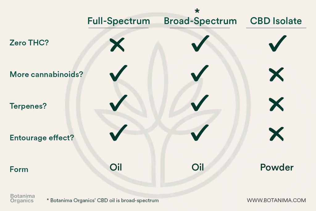 Differences-Between-Full-Broad-Spectrum-Isolate-CBD-Infographic