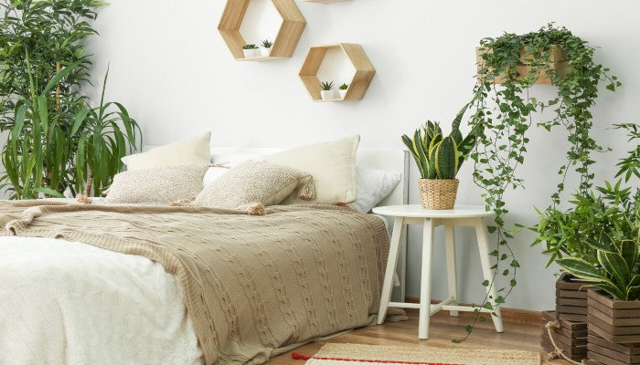 6 CONSEJOS DE FENG SHUI PARA CREAR UN ESPACIO EQUILIBRADO - HYGGE CAVE