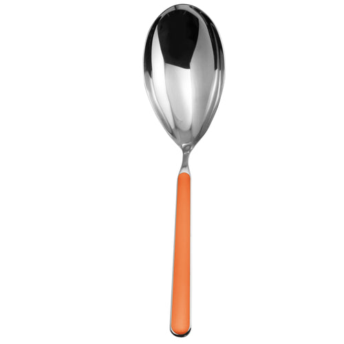 RISOTTO SPOON FANTASIA | CARROT