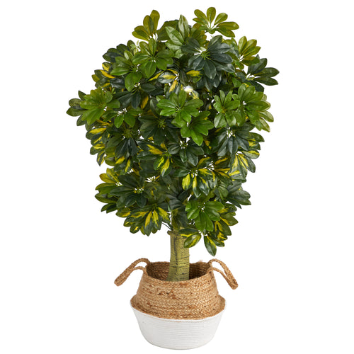 4’ SCHEFFLERA ARTIFICIAL TREE IN WHITE WOVEN PLANTER