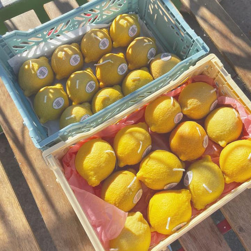 “When Life Gives You Lemons” Set of 8