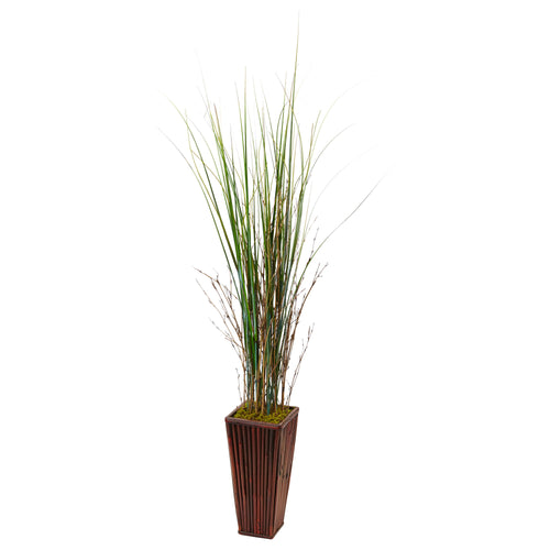 BAMBOO GRASS IN BAMBOO PLANTER