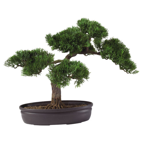 CEDAR BONSAI 16" SILK PLANT