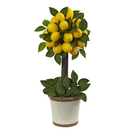 LEMON BALL TOPIARY ARRANGEMENT