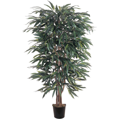 5' WEEPING FICUS SILK TREE