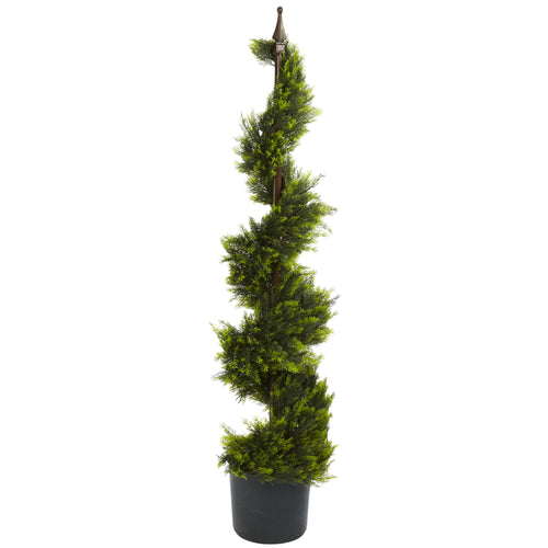 4' CYPRESS SPIRIAL SILK TREE