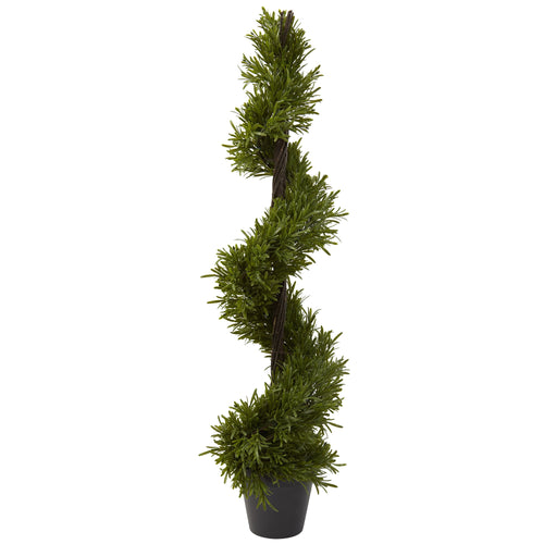 39” ROSEMARY SPIRAL TREE