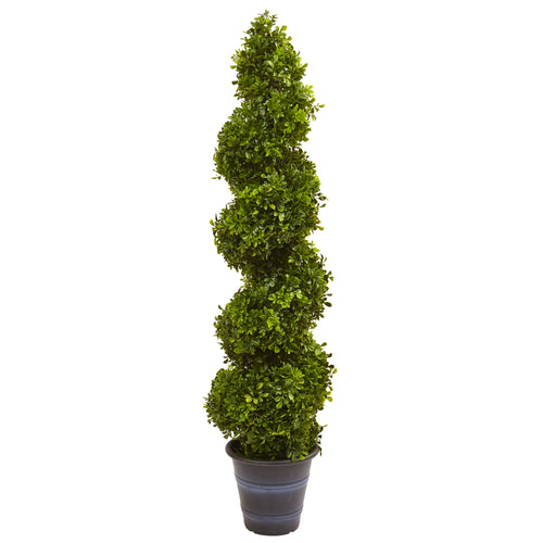 BOXWOOD SPIRAL TOPIARY WITH PLANTER