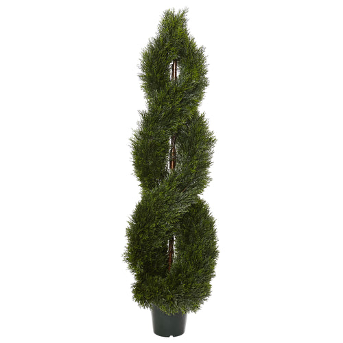 5' POND CYPRESS SPIRAL TOPIARY