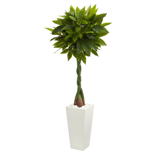 5.5’ MONEY ARTIFICIAL TREE IN WHITE TOWER PLANTER