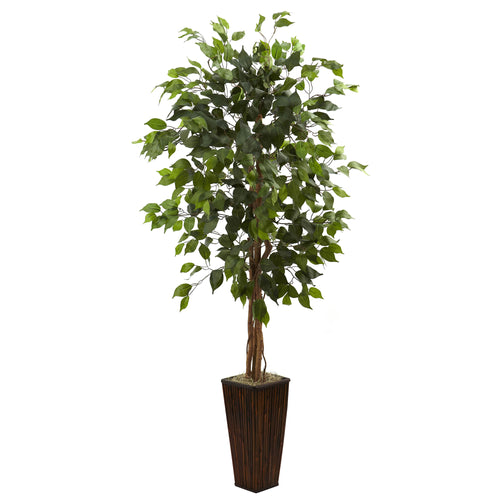 5.5’ FICUS TREE W/BAMBOO PLANTER