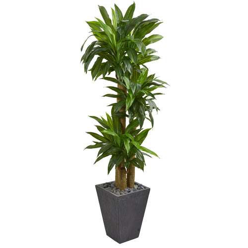 5.5’ CORNSTALK DRACAENA ARTIFICIAL PLANT