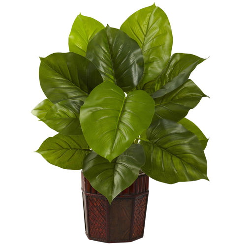 LARGE LEAF PHILODENDRON W/DECORATIVE PLANTER