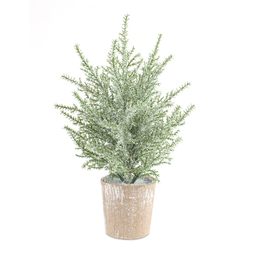 POTTED ICY PINE TREE (SET OF 6)