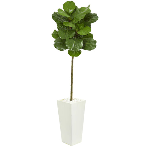 5.5’ FIDDLE LEAF ARTIFICIAL TREE IN WHITE TOWER PLANTER