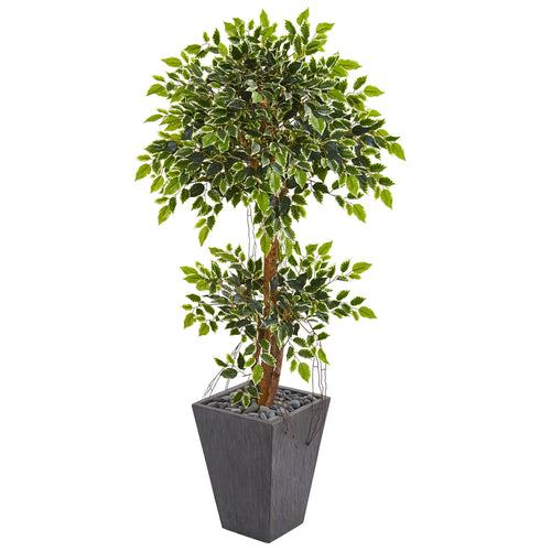 5’ VARIEGATED FICUS ARTIFICIAL TREE IN SLATE PLANTER