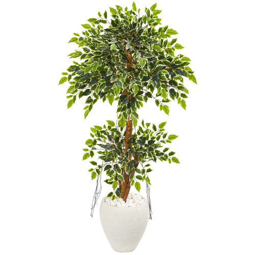 56” VARIEGATED FICUS ARTIFICIAL TREE IN WHITE PLANTER