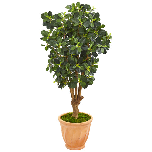 46” PANDA FICUS ARTIFICIAL TREE IN TERRA-COTTA PLANTER