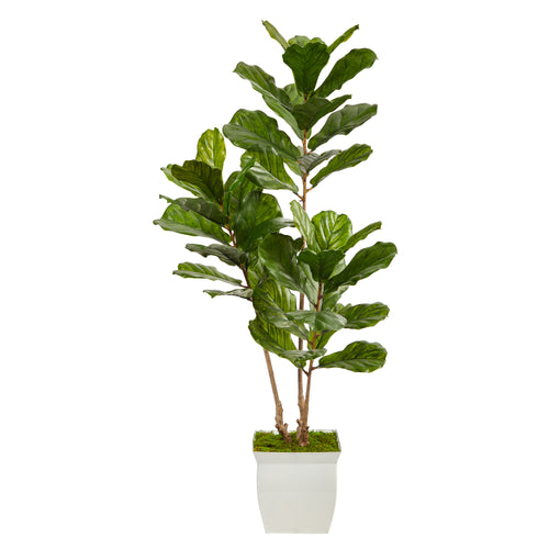 5.5’ FIDDLE LEAF ARTIFICIAL TREE IN WHITE METAL PLANTER