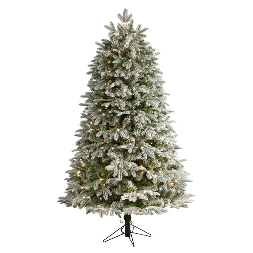 FLOCKED COLORADO MOUNTAIN FIR TREE WITH LED LIGHTS WITH INSTANT CONNECT