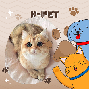 K PET.png__PID:a2e05855-e7bd-45fb-90cf-8681a9cf6d8b