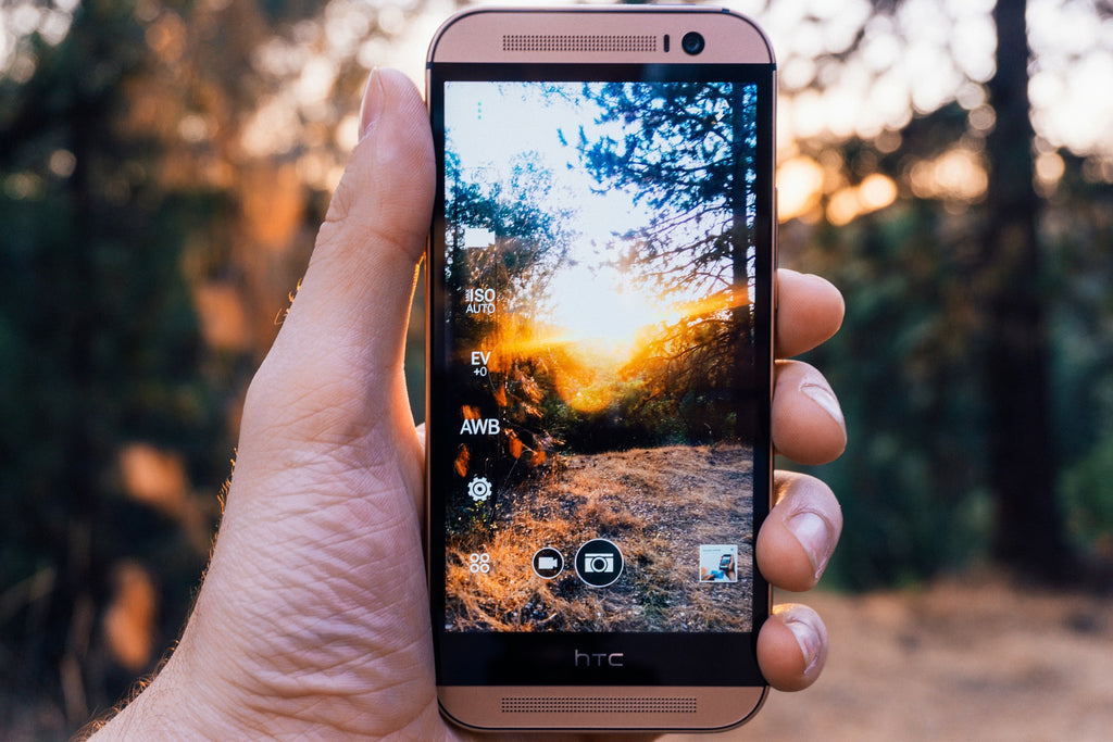 Mobile phone in users hand with image of forest and nature