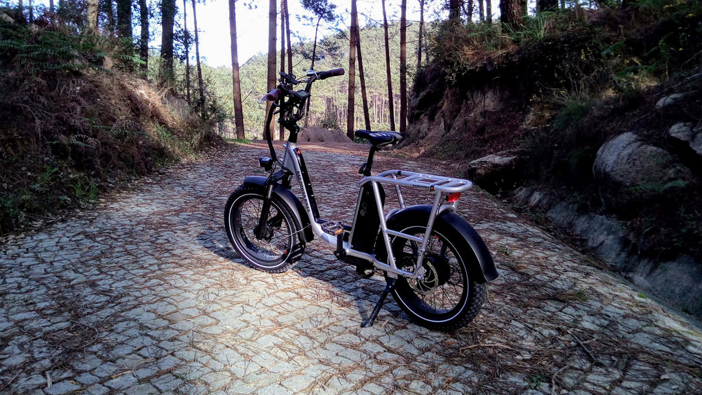 Rad Runner Plus ebike offers excellent value and quality